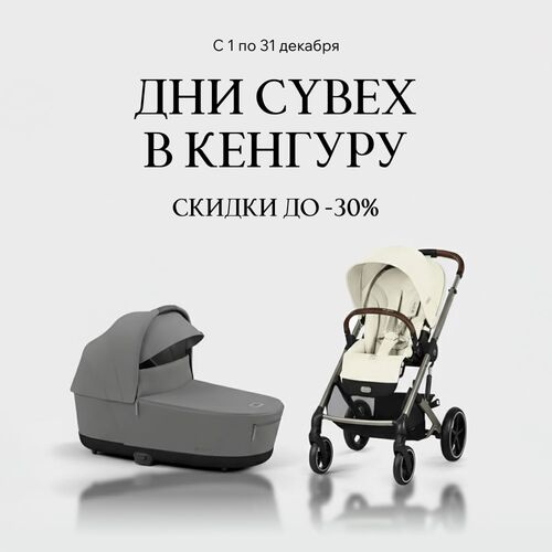 Дни CYBEX в Кенгуру