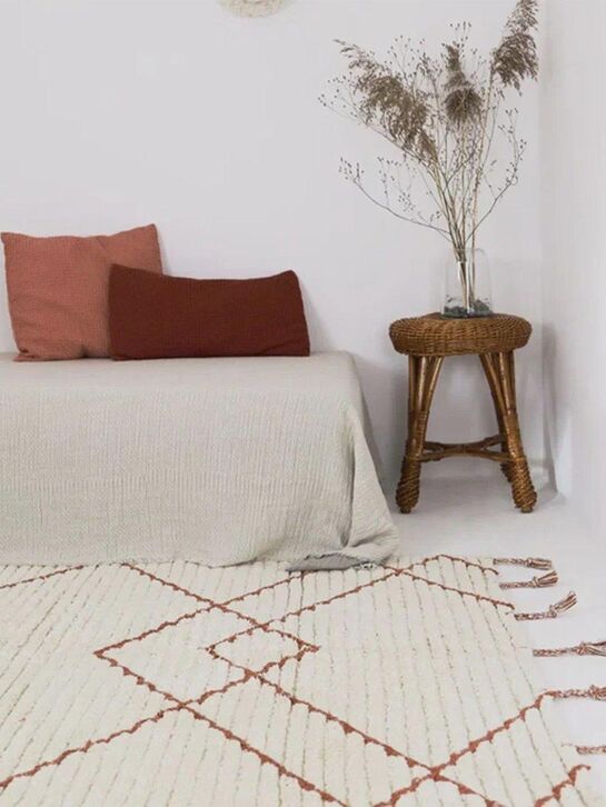 Коврик Nattiot Ковер VIKTOR AMBRE S 100х150  , арт.  | Фото 4