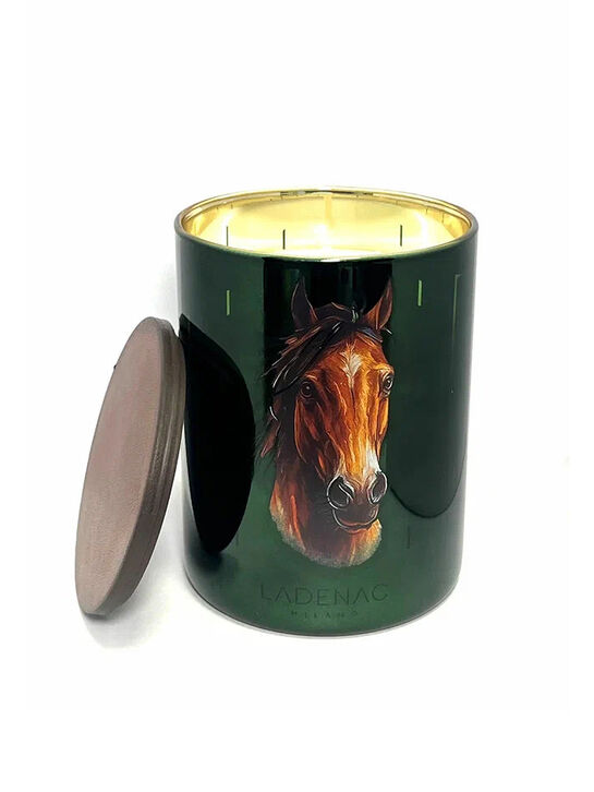 Ароматическая свеча Africa Horse 350 г Ladenac Milano , арт.  | Фото 1