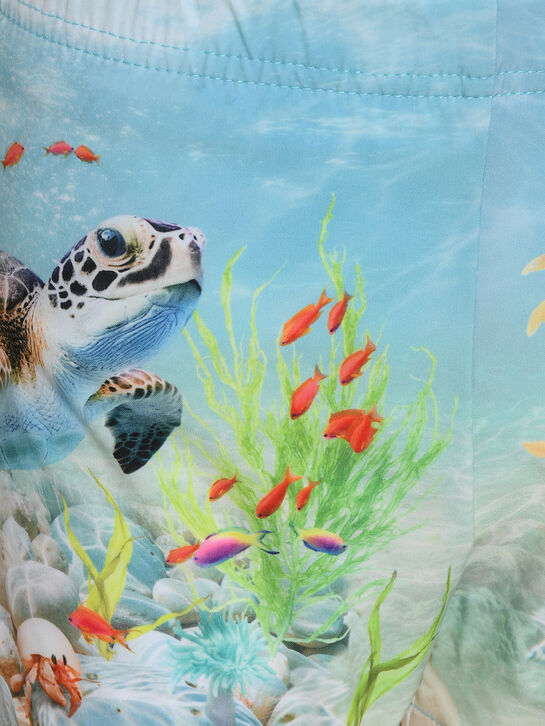 Шорты для купания, принт подводный мир Molo , арт.  | Фото 3