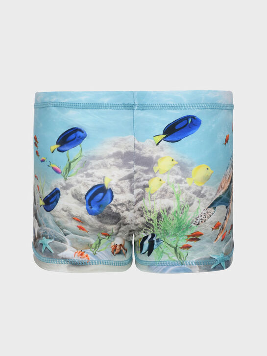 Плавки-шорты, принт подводный мир Molo , арт.  | Фото 2