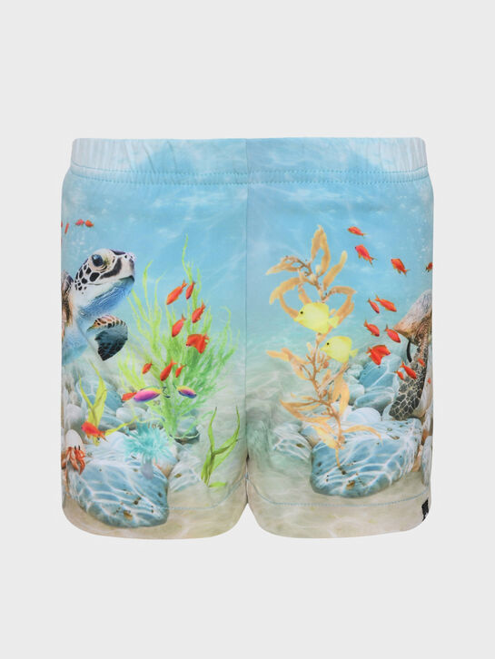 Шорты для купания, принт подводный мир Molo , арт.  | Фото 1