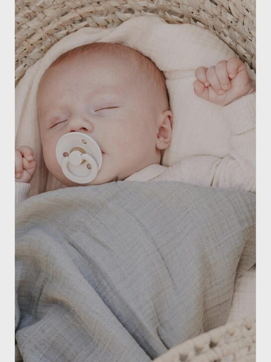 Набор пустышек Ivory, 4 шт, 6+ мес. BIBS , арт.  | Фото 7