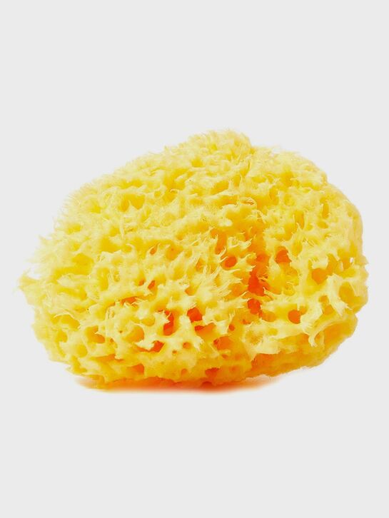 Губка натуральная &quot;Honey Comb №14&quot; Babu , арт.  | Фото 1