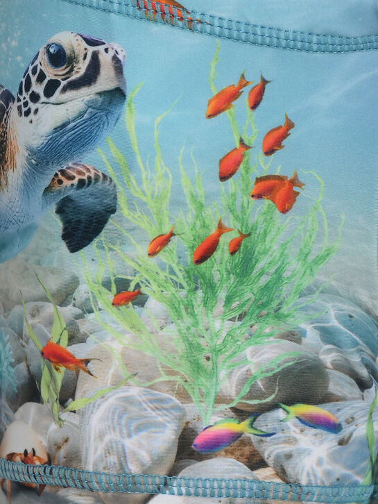 Плавки-шорты, принт подводный мир Molo , арт.  | Фото 3