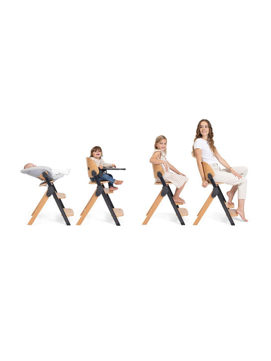 Стульчик для кормления Meraviglia Ebony CHICCO , арт.  | Фото 25