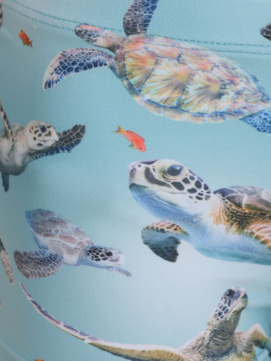 Плавки-шорты, принт черепашки Molo , арт.  | Фото 3