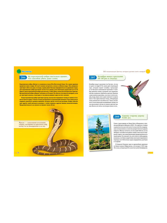 Книга «Знаю всё! 365 потрясающих фактов, которые должен знать каждый» Эксмо , арт.  | Фото 7