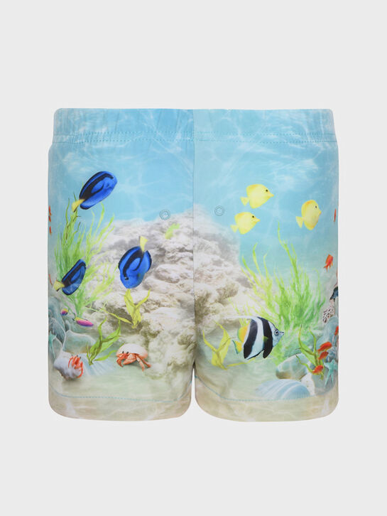 Шорты для купания, принт подводный мир Molo , арт.  | Фото 2