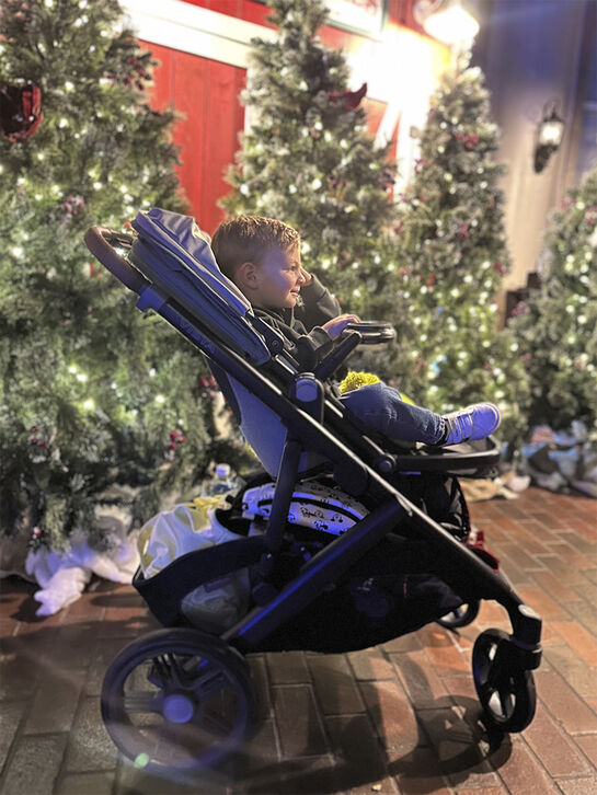 Коляска 2 в 1 VISTA V3 KENZI UPPAbaby , арт.  | Фото 15