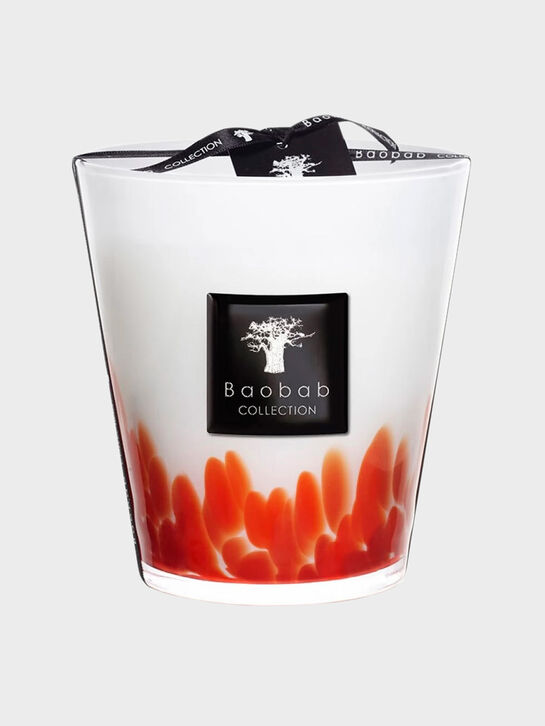 Ароматическая свеча Feathers Max 16 Masaai, 1100 г Baobab , арт.  | Фото 1