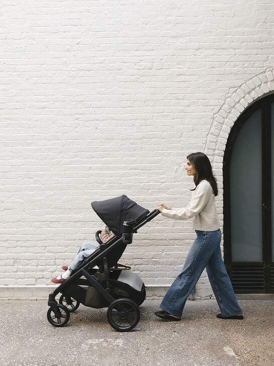 Коляска 2 в 1 VISTA V3 JAKE UPPAbaby , арт.  | Фото 17