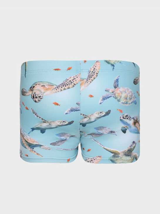 Плавки-шорты, принт черепашки Molo , арт.  | Фото 2