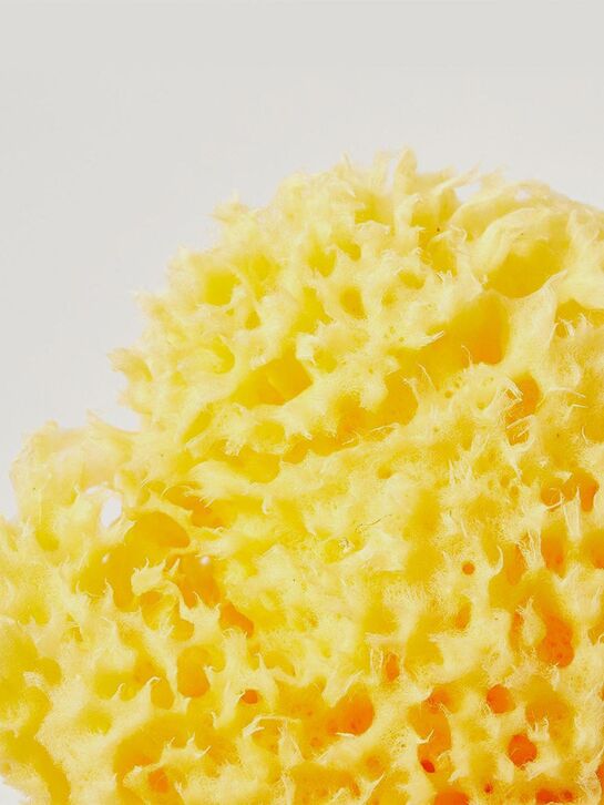 Губка натуральная &quot;Honey Comb №14&quot; Babu , арт.  | Фото 3