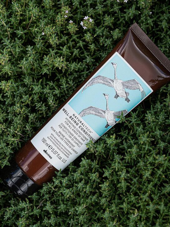 Увлажняющий кондиционер для здоровья волос, 150мл Davines , арт.  | Фото 2