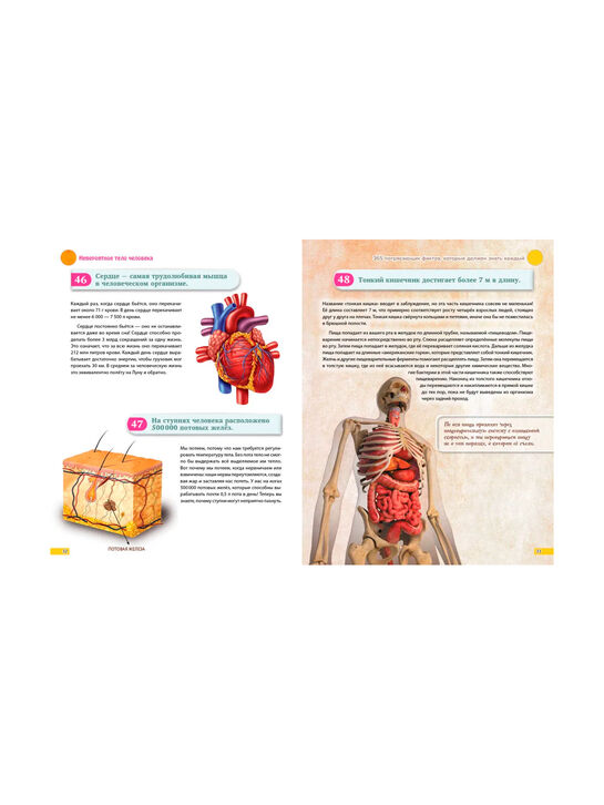 Книга «Знаю всё! 365 потрясающих фактов, которые должен знать каждый» Эксмо , арт.  | Фото 5