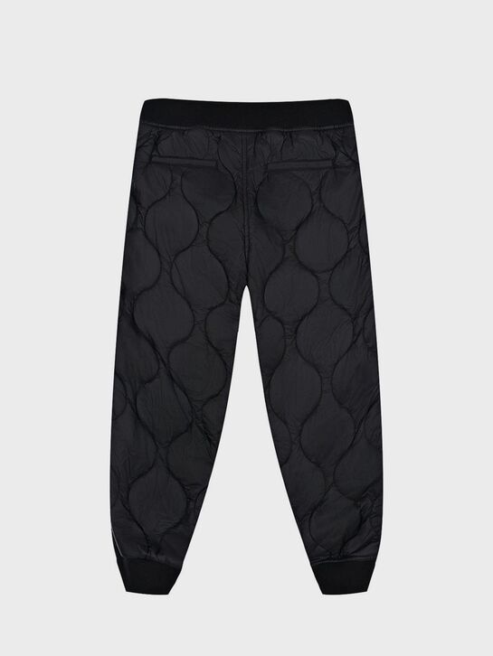 Утепленные стеганые брюки AI RIDERS ON THE STORM , арт.  | Фото 2