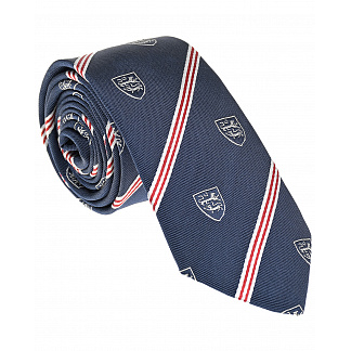 Синий галстук с геральдическим принтом Dal Lago Синий, арт. N300 8548 1 | Фото 1