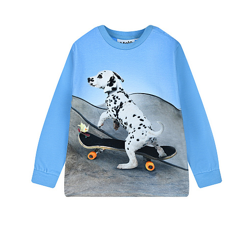 Толстовка Eloy &quot;Skate Puppy&quot; Molo Голубой, арт. 3S22A406 7658 | Фото 1