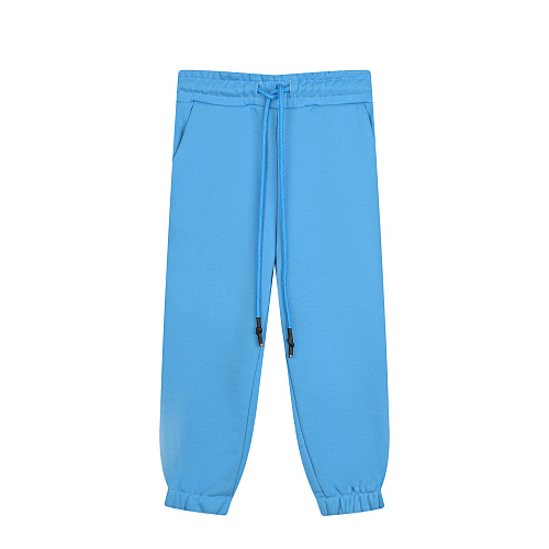 Голубые спортивные брюки Dan Maralex Голубой, арт. 460792213 38668 | Фото 1