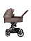 Коляска 2 в 1 Mercedes Benz Avantgarde GTX, 717 Tartufo