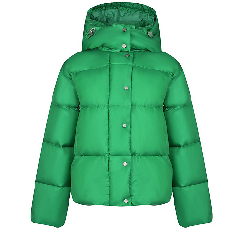 Короткая зеленая куртка с капюшоном Naumi Зеленый, арт. 1741MW-0058-MB190 GREEN | Фото 1