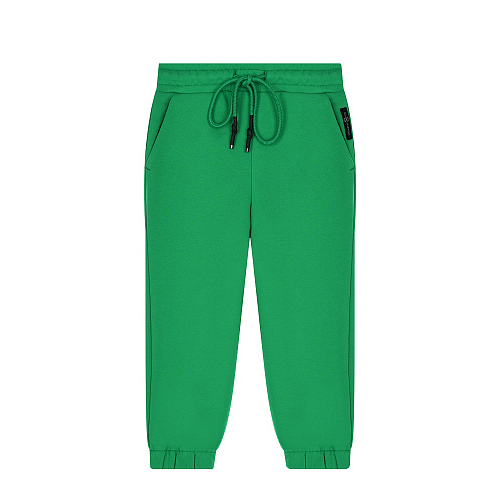 Зеленые спортивные брюки Dan Maralex Зеленый, арт. 2607922114 38668 М-2018 | Фото 1