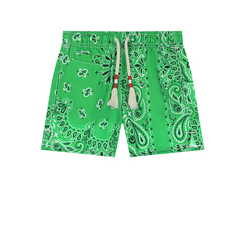 Зеленые шорты для купания с принтом &quot;турецкий огурец&quot; Saint Barth Зеленый, арт. CAPRESE 00178B BANDANNA ROUND 5701 | Фото 1